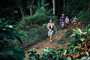 BIB: 
                            <button type="button" onclick="openModal(25827546)" class="btn btn-primary btn-sm float-right btn-popup" data-toggle="modal" data-target=".modal-high-quality">
                        <i class="fas fa-shopping-cart"></i> Add to Cart
                    </button>
                                            <button type="button" onclick="isThisMe(25827546, true)" class="btn btn-success btn-sm float-right btn-popup btn-isme hidden" data-toggle="tooltip" data-placement="bottom" title="นี่คือรูปของคุณใช่ไหม คลิกที่นี่เพื่อเอาเข้าอัลบั้ม">
                        <i class="fas fa-plus"></i> Add to album
                    </button>
                    <button type="button" onclick="isThisMe(25827546, false)" class="btn btn-warning btn-sm float-right btn-popup btn-isnotme hidden">
                        <i class="fas fa-ban"></i> Remove from album
                    </button>